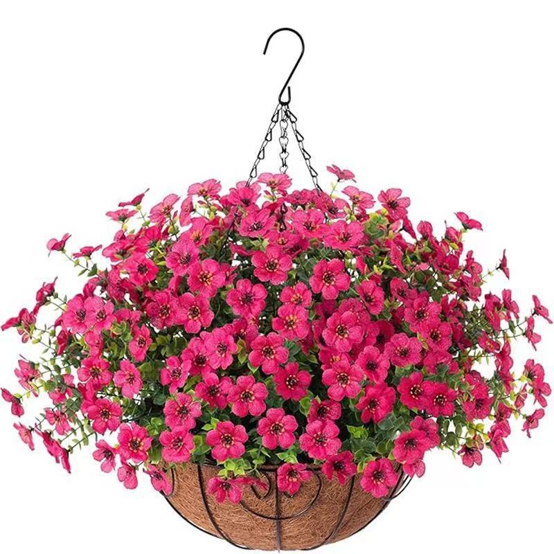 Fuchsia（20CM Basket）