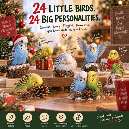 🐦24 Days of Budgie Joy – 24 Little Birds, 24 Big Personalities ❤️