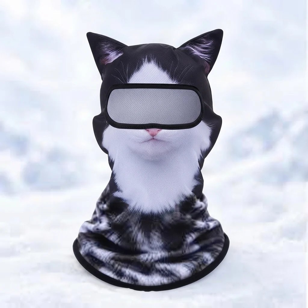 Tuxedo cat