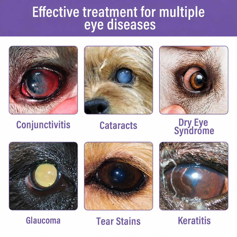 👩‍⚕️Purelora® NanoCare Pet Eye Drops ☑️ FDA Approved | Relieves Conjunctivitis, Dry Eyes, Cataracts, and Keratitis🐶 🐈️