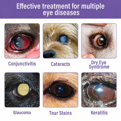 👩‍⚕️Purelora® NanoCare Pet Eye Drops ☑️ FDA Approved | Relieves Conjunctivitis, Dry Eyes, Cataracts, and Keratitis🐶 🐈️
