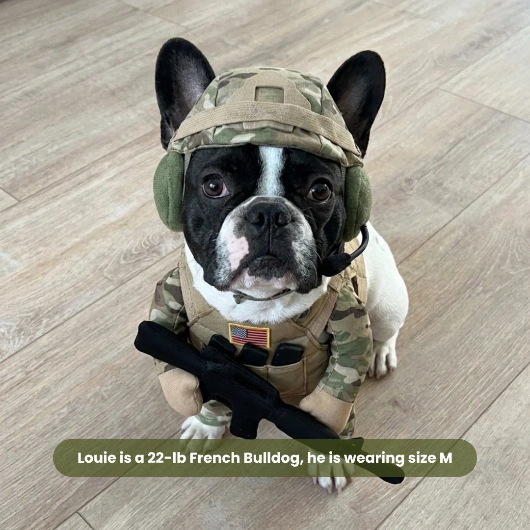 🪖Funny Tactical Soldier Pet Costume | Military Outfit for Dogs & Cats