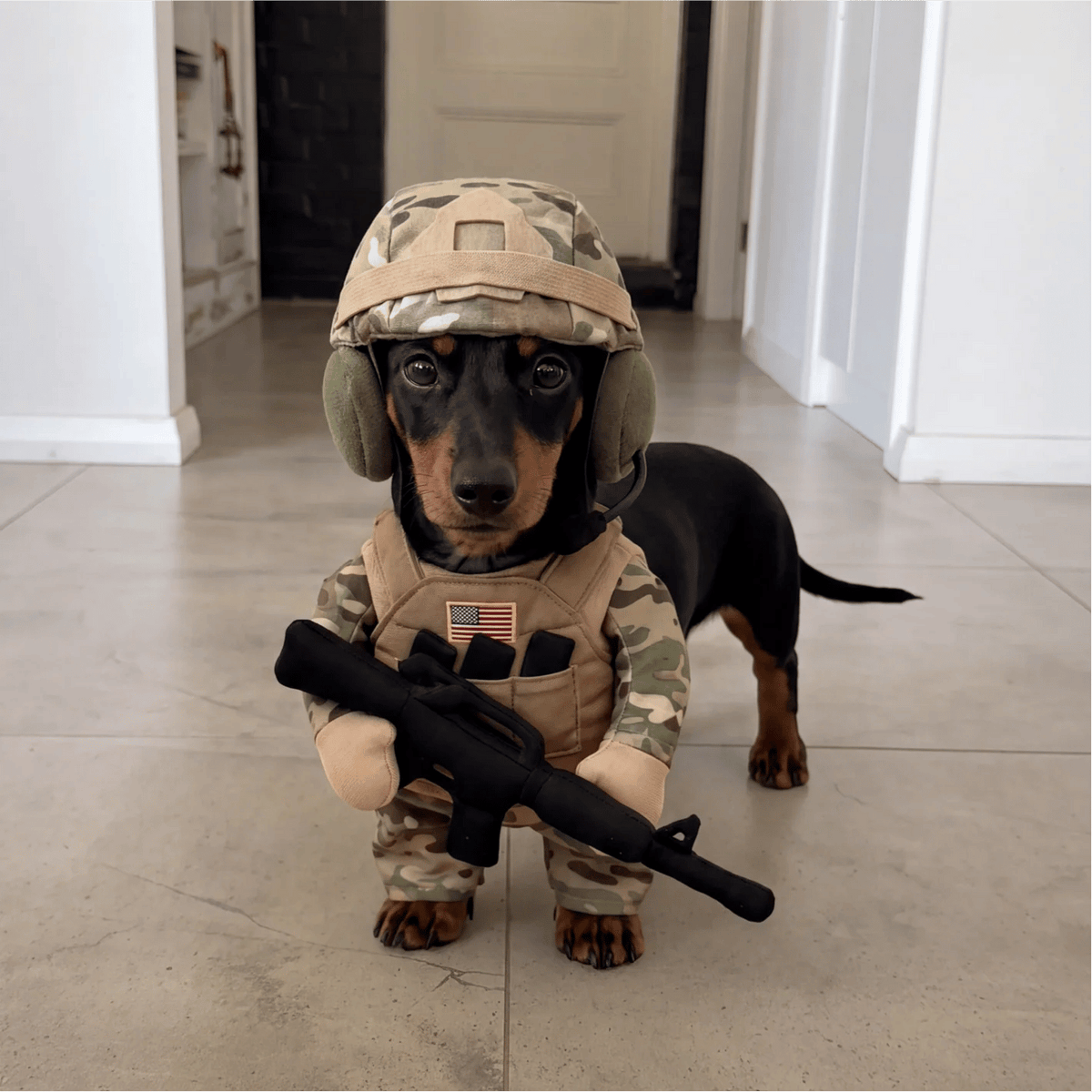 🪖Funny Tactical Soldier Pet Costume | Military Outfit for Dogs & Cats