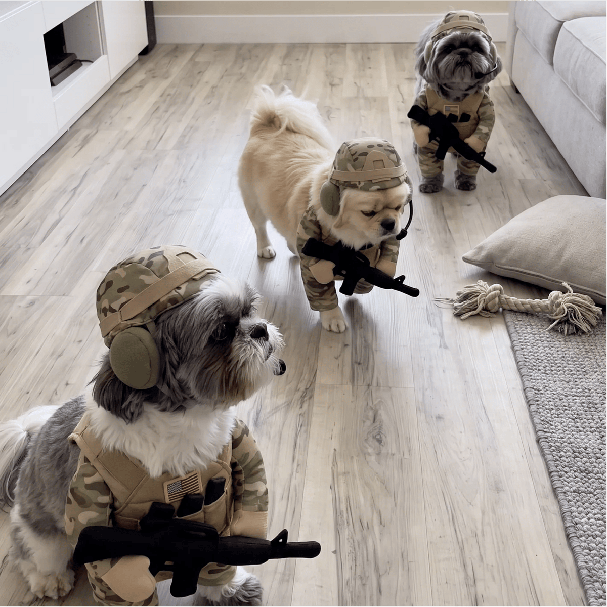 🪖Funny Tactical Soldier Pet Costume | Military Outfit for Dogs & Cats