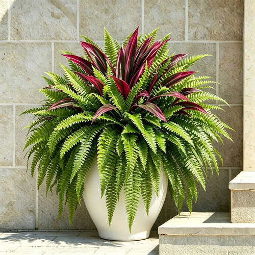 🔥Last Day Sale Price |UV Resistant Artificial Fern & Red Dracaena Decorative Plants – Full, Lush & Fade-Resistant!