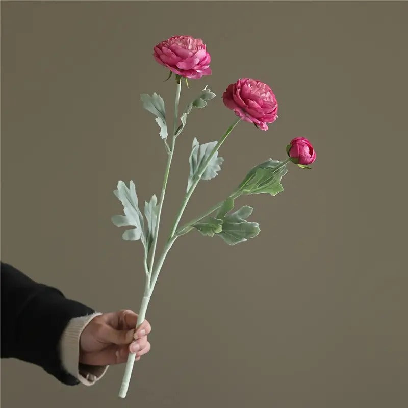Rose Red
